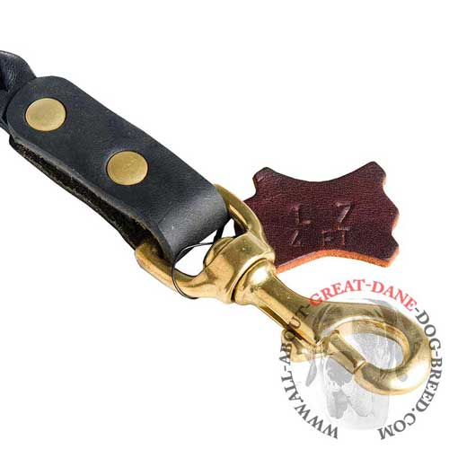 Durable Great Dane leather leash with riveted snap hook