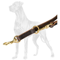  Multi-Functional Leather Dog Lead
