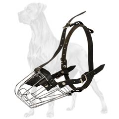 Durable muzzle for powerful Great Dane breed