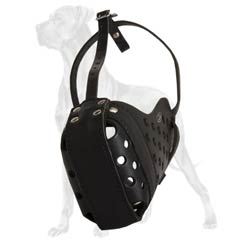 Great Dane Well-Fitting Durable Leather Muzzle