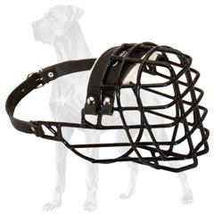 Modern Wire Cage Winter Muzzle for Dog Walking/Training 