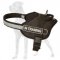 Premium Quality Nylon Adjustable Great Dane Harness with Reflective Trim