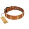 "Glossy Autumn" Designer Handmade FDT Artisan Tan Leather Great Dane Collar with Ovals and Studs