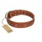 "Star Shine" Exclusive FDT Artisan Tan Leather Great Dane Collar with Silver-Like Adornments