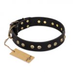 'Black Elegance' FDT Artisan Great Dane Leather Dog Collar with Round Studs