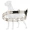 Stainless Steel Great Dane Pinch Collar with Click Lock Buckle - 1/8 inch (3.2 mm)