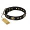 'High Fashion' FDT Artisan Studded with Plates Black Leather Great Dane Collar
