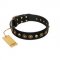 "Reckless Mutt" FDT Artisan Black Leather Great Dane Collar with Skulls and Brooches