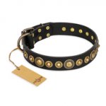 'Gold Mine' FDT Artisan Great Dane Black Leather Dog Collar with Amazing Bronze-Plated Round Studs