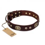 'Breath of Elegance' FDT Artisan Decorated with Plates Brown Leather Great Dane Collar