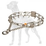 Chrome Plated Great Dane Pinch Collar - 1/6 inch (3.99 mm)