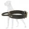 Agitation 2 Ply Leather Great Dane Collar with Handle
