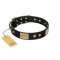 "Antique Gloss" FDT Artisan Black Leather Great Dane Collar with Bronze-like Plates and Small Studs