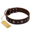 "Pure Sensation" Exclusive FDT Artisan Brown Leather Great Dane Collar with Fancy Brooches and Studs