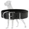 Top Quality Padded Leather Collar for Great Dane