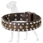 Leather Dog Collar with Studs and Pyramids for Great Dane