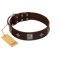 "Cold Star" Designer FDT Artisan Brown Leather Great Dane Collar with Silver-Like Adornments