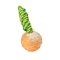 Solid Training Rubber Ball on a String for Great Dane 2 inch (5 cm) - Small