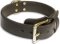 Multi-functional 2 Ply Great Dane Collar