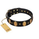 "Doggie Woggie" Designer Handmade FDT Artisan Black Leather Great Dane Collar with Ovals and Studs