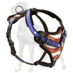 American Flag Leather Harness for Great Dane