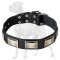 Wonderful Leather Collar with Nickel Plates for Great Dane