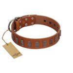 "Silver Century" Fashionable FDT Artisan Tan Leather Great Dane Collar with Silver-Like Plates