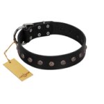 "Flower Rhapsody" FDT Artisan Premium Quaulity Black Leather Great Dane Collar