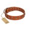 "Faraway Galaxy" FDT Artisan Tan Leather Great Dane Collar Adorned with Stars and Squares