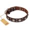 'Age of Beauty' FDT Artisan Incredible Studded Brown Leather Great Dane Collar