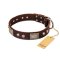 "Pirate Skull" FDT Artisan Brown Leather Great Dane Collar with Old Silver Look Plates and Skulls