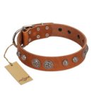 "Era Infinitum" FDT Artisan Tan Leather Great Dane Collar Adorned with Chrome-plated Circles