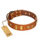 "Egyptian Script" FDT Artisan Tan Leather Great Dane Collar with Plates and Small Studs