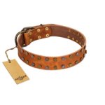 "Walk and Shine" FDT Artisan Tan Leather Great Dane Collar with Antiqued Studs