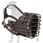 Exclusive Wire Cage Great Dane Muzzle | Rubber Covered