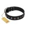"Black Knight" Handmade FDT Artisan Black Leather Great Dane Collar with Silver-Like Studs