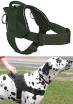 The Best Walking/Training/Pulling Nylon Harness for Great Dane