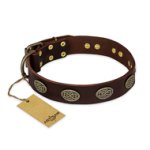 'Chocolate kiss' FDT Artisan Leather Great Dane Collar with Old Bronze Look Oval Plates