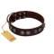"King Arthur" FDT Artisan Brown Leather Great Dane Collar with Spiky Plates