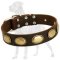 High Quality Leather Dog Collar for Great Dane with Vintage Ovals