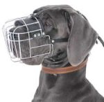 Wire Basket Dog Muzzle for Great Dane - Cage Basket Muzzles