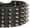 Walking in Style and Grace - Extra Wide Spiked Leather Great Dane Collar