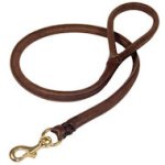 Natural Rolled Leather Great Dane Leash
