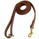 Multitask Leather Great Dane Leash with Brass Hardware