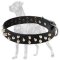 Great Dane Studded Leather Collar | Nickel-Plated Pyramids