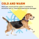 Biothane Reflective Collar With Quick Release Buckle_2