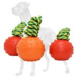 Rubber Dotted Great Dane Ball for Training and Playing - Large