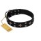 "Snappy Dresser" FDT Artisan Black Leather Great Dane Collar Adorned with Stars and Tiny Squares