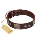 "Stone Stars" Stylish Handmade FDT Artisan Brown Leather Great Dane Collar