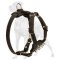 Spiked Leather Great Dane Puppy Harness with Padded Chest Plate